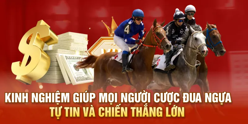 Kinh nghiệm giúp mọi người cược đua ngựa tự tin và chiến thắng lớn